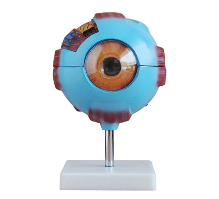 OEIL AGRANDI 6 FOIS 8 PIECES