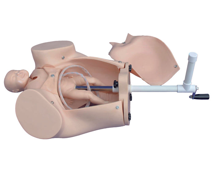 MODELE DE SIMULATION DE L'ACCOUCHEMENT
