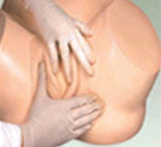 BASSIN MODELE FORMATION ACCOUCHEMENT+ NOUVEAU NE