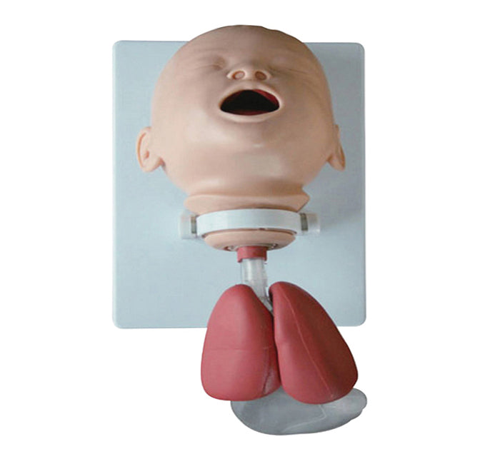 MODELE DE FORMATION & D'INTUBATION DU NOURRISSON