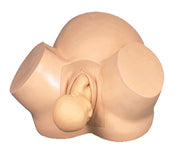 BASSIN MODELE FORMATION ACCOUCHEMENT+ NOUVEAU NE