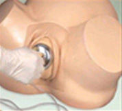 BASSIN MODELE FORMATION ACCOUCHEMENT+ NOUVEAU NE