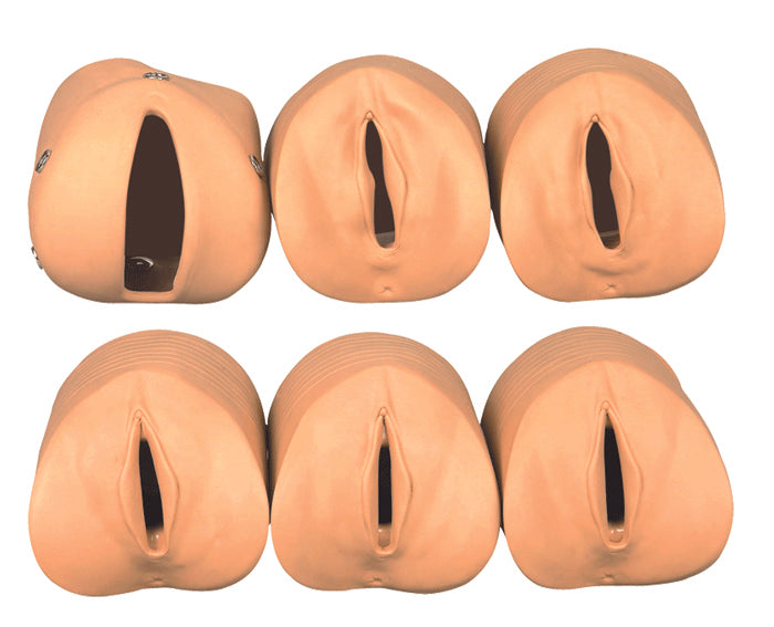 MODELE DE DILATATION DU COL ET DE DELIVRANCE